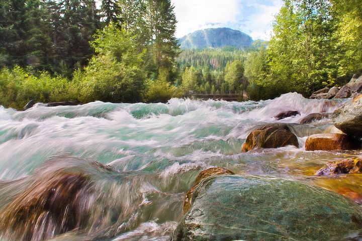 Creativity & The Ecology Of Creation -Nancy Hillis MD and Bruce Sawhill PhD