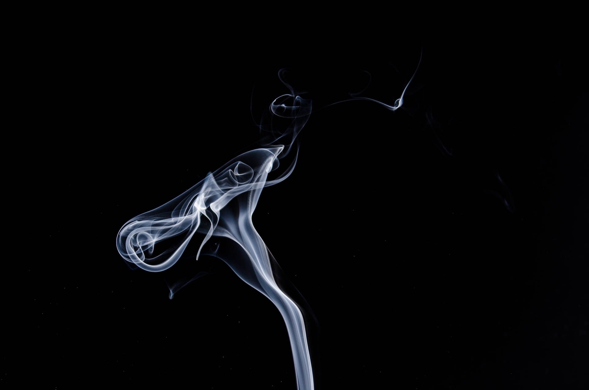 Invisible Forces & The Challenge Of Creativity. Nancy Hillis MD and Bruce Sawhill PhD. The Artist's Journey.