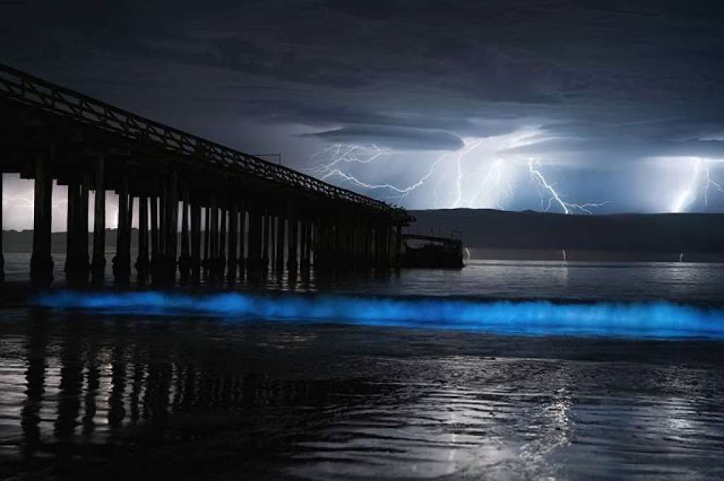 Lightning Surf- Santa Cruz, California