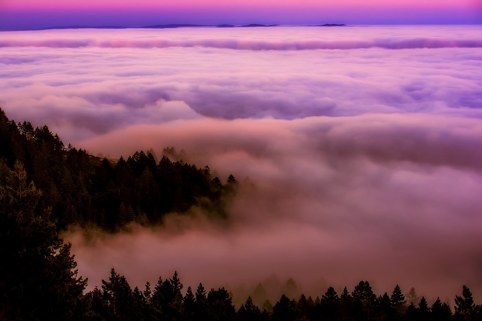 California Fog- One To Zero: Fear, Risk & Creativity- Nancy Hillis MD and Bruce Sawhill PhD