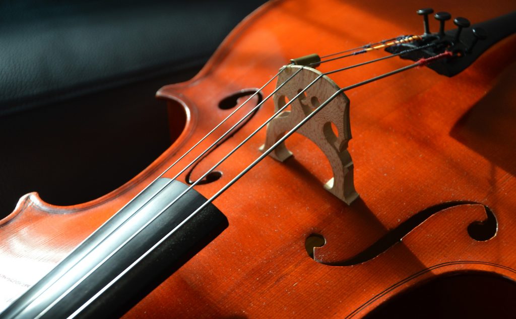 Cello strings and bridge