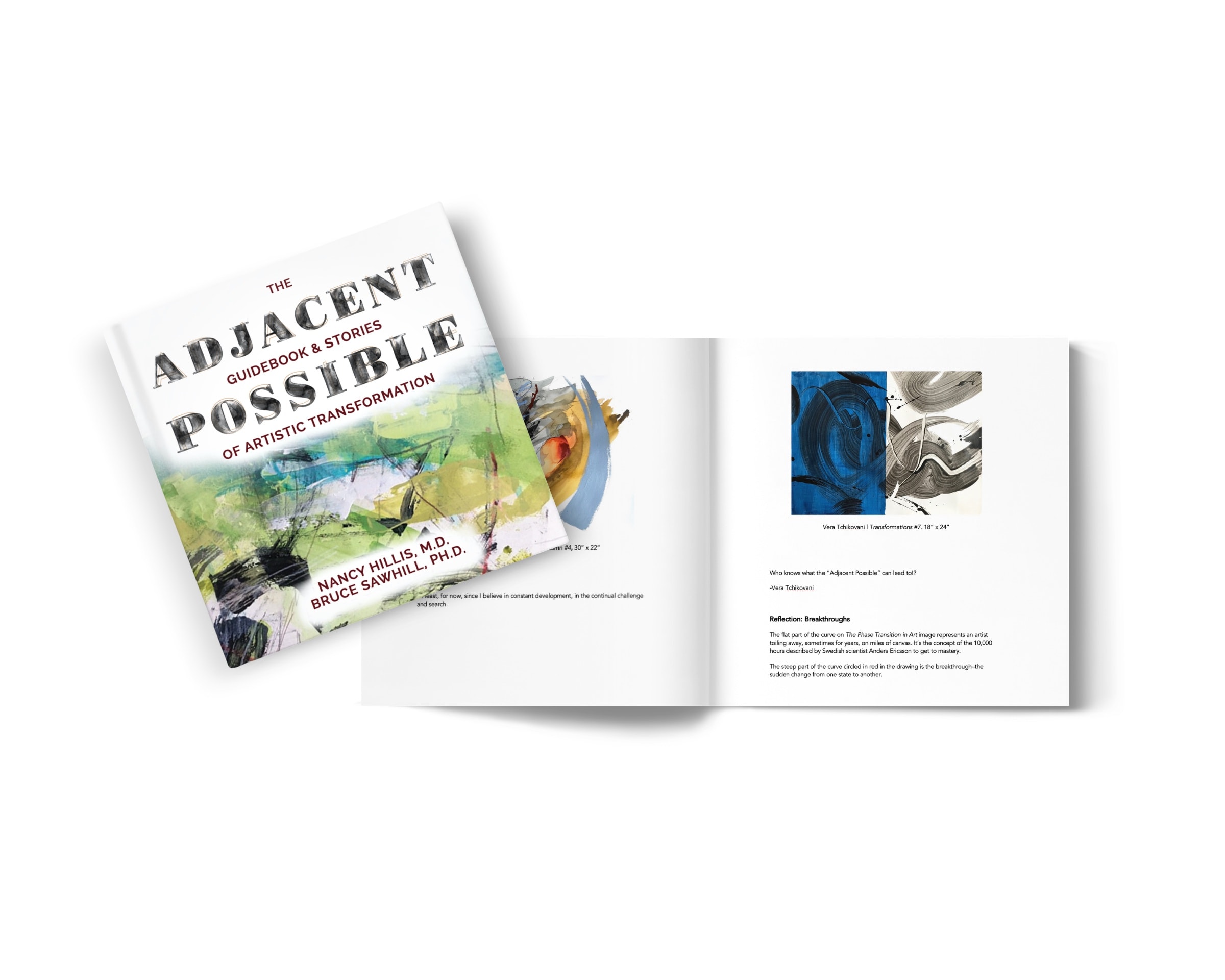 The Adjacent Possible: Guidebook & Stories Of Artistic Transformation- Nancy Hillis MD & Bruce Sawhill PhD